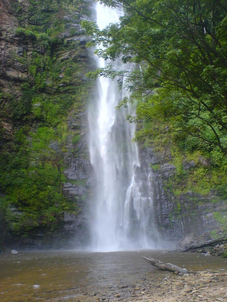 Wli Waterfalls